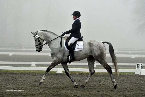 Three Tips To Being Show-Ready